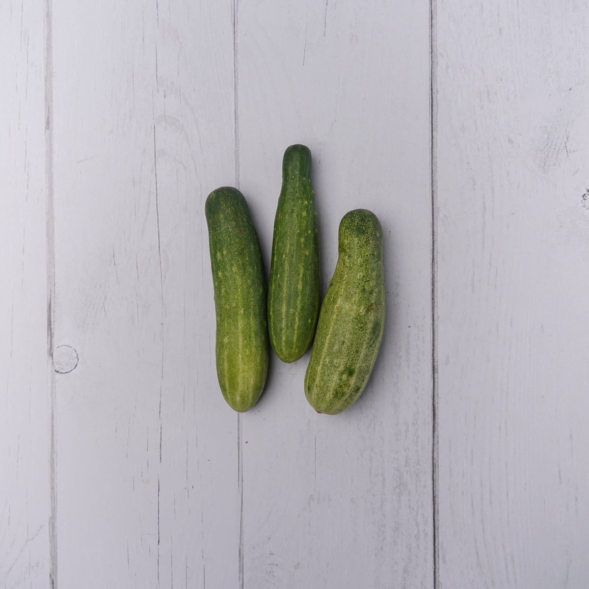 Organic Cucumber Green / Kakdi Hari - 250 Gms - Kedia Organic Agro Farms Farm Fresh Vegetables Kedia Organic Agro Farms 