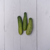 Organic Cucumber Green / Kakdi Hari - 250 Gms - Kedia Organic Agro Farms
